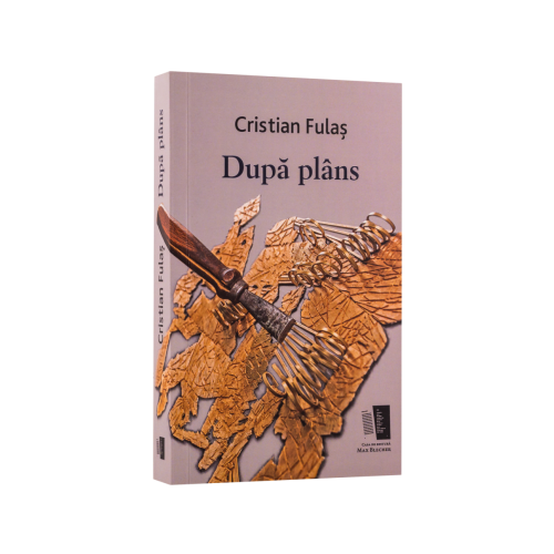Dupa Plans - Cristi Fulas