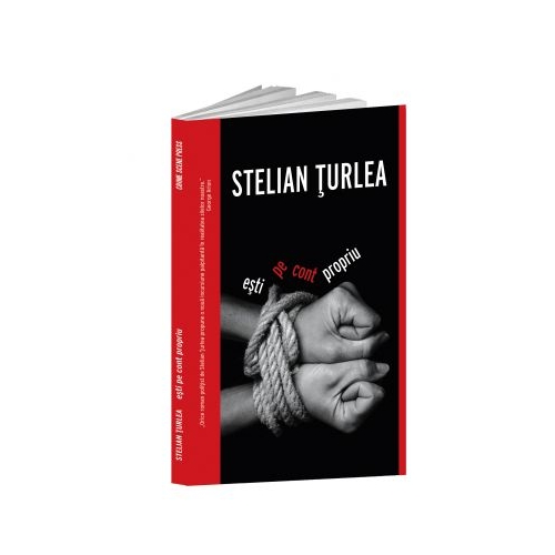 Esti pe cont propriu - Stelian Turlea