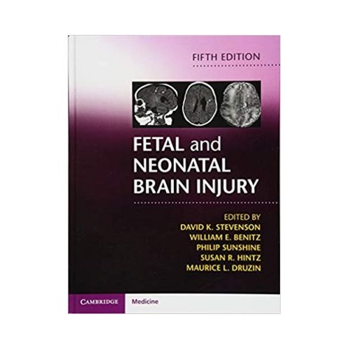 Fetal and Neonatal Brain Injury - David K. Stevenson, William E. Benitz, Philip Sunshine, Susan R. Hintz, Maurice L. Druzin