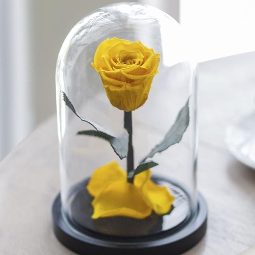 Kdeco  Trandafir Criogenat  XL Galben (Ø=6,5CM) in cupola sticla (12X25CM)