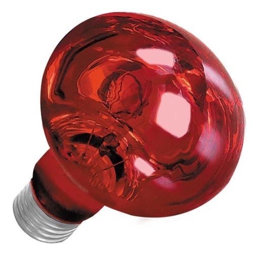 Lampa spot terariu de noapte, 25W, BR01