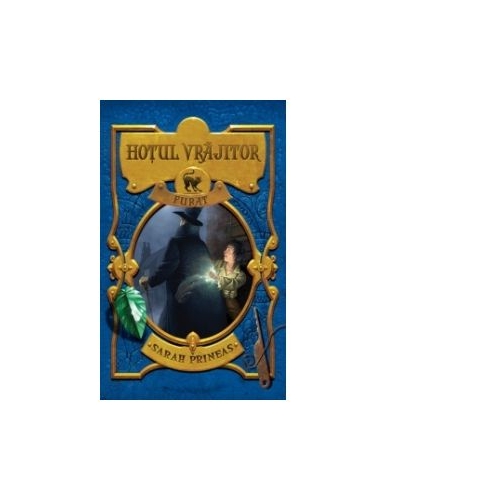 Hotul vrajitor furat - Sarah Prineas