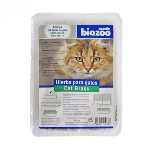 Iarba Pisici Biozoo 100 g