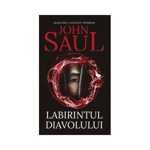 Labirintul diavolului - John Saul