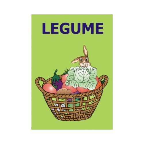 Legume colorate, din gradina recoltate! Set jetoane