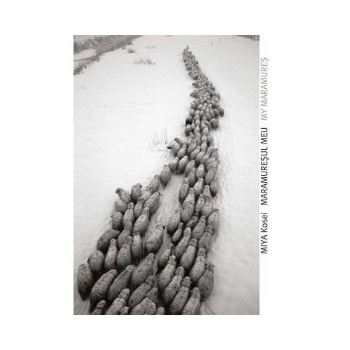 Maramuresul meu - Miya Kosei