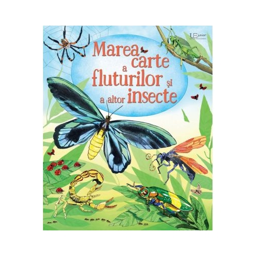 Marea carte a fluturilor si a altor insecte (Usborne) - Usborne Books