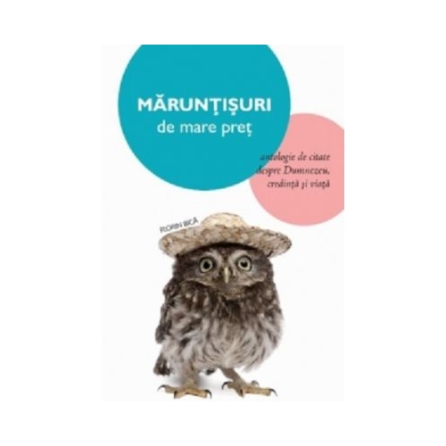 Maruntisuri de mare pret - Florin Bica