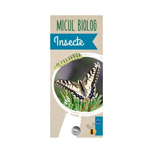Micul biolog. Insecte - Anita van Saan, editura Didactica Publishing House