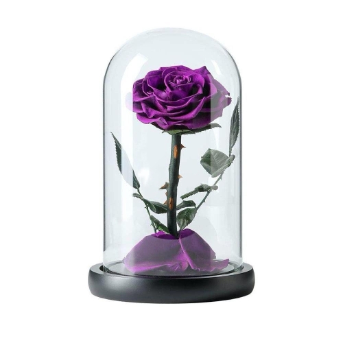 Kdeco Trandafir Criogenat Bonita Mov (Ø=9,5CM) in cupola sticla (15X25CM)
