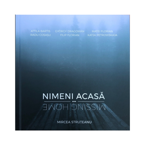Nimeni acasa - Mircea Struteanu