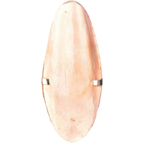 Os Sepie Cu Suport Small 5050