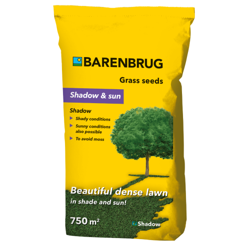 Seminte de gazon Shadow, 15 kg, Barenbrug. Produse pentru profesionale pentru gazon si iarba
