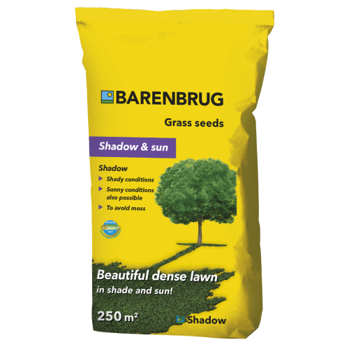 Seminte gazon Shadow, 5 kg, Barenbrug. Produse pentru profesionale pentru gazon si iarba
