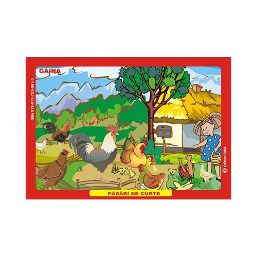 Pasari de curte. Gaina, Curca, Rata, Gasca - Eleonora Negru, Ed. Emia, Carti educative, Povesti pentru copii