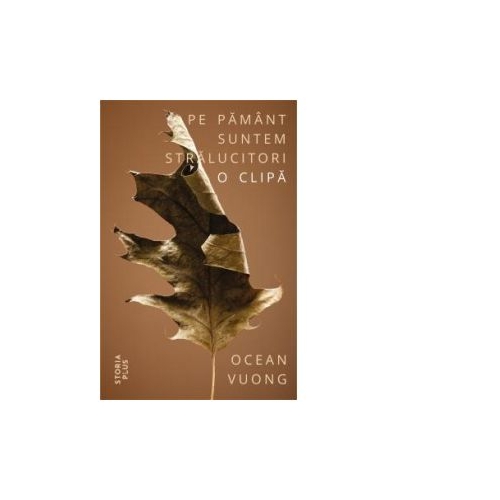 Pe pamant suntem stralucitori o clipa - Ocean Vuong