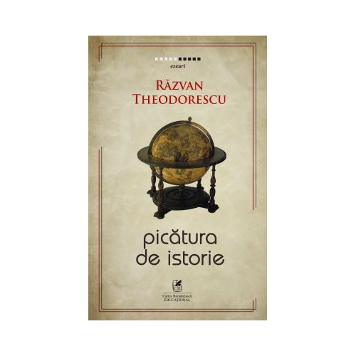Picatura de istorie - Razvan Theodorescu