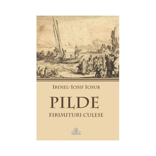 Pilde. Firimituri culese - Irinel-Iosif Iosub