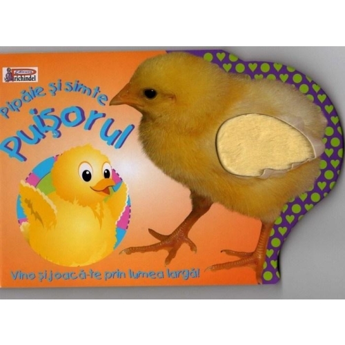 Pipaie si simte Puisorul