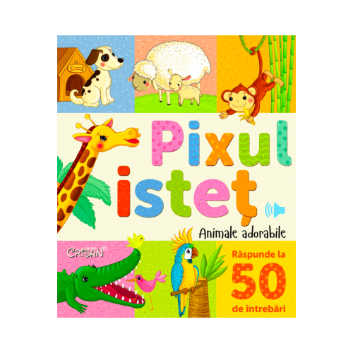 Pixul istet
