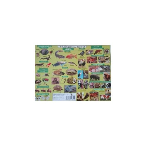 Plansa Biologie scolara - Zoologie - Mariana Bodea