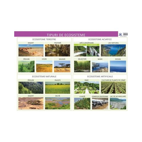 Plansa. Tipuri de ecosisteme - Florica Alexandrescu, editura Didactica Publishing House