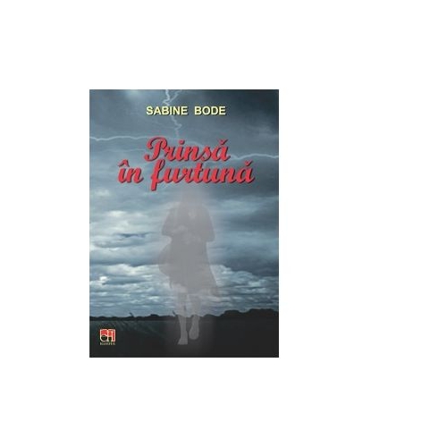 Prinsa in furtuna - Sabine Bode