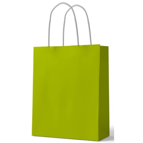 Punga hartie verde 42x31x11 cm