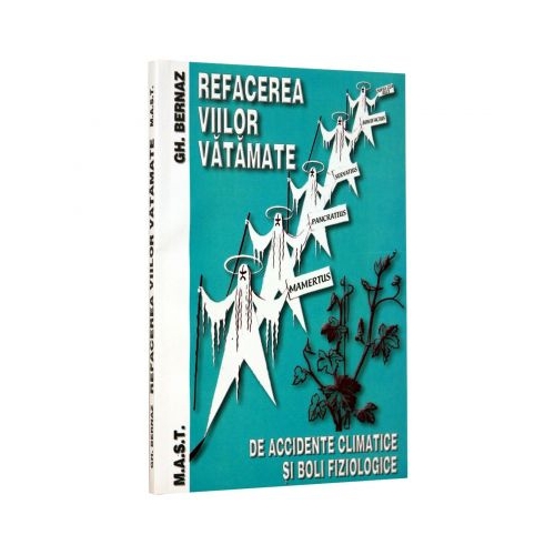 Refacerea viilor vatamate - Gheorghe Bernaz