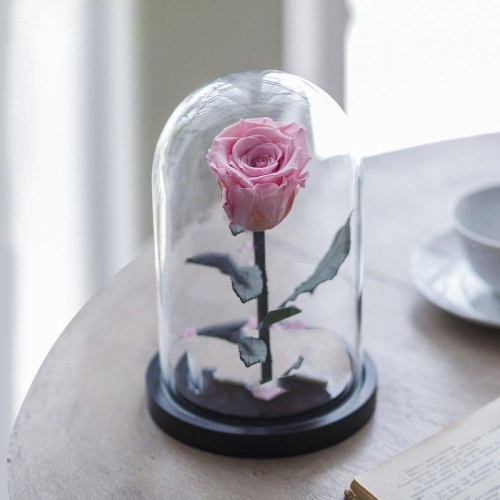 Kdeco  Trandafir Criogenat Roz XL (Ø=6,5CM) in cupola sticla (12X25CM)