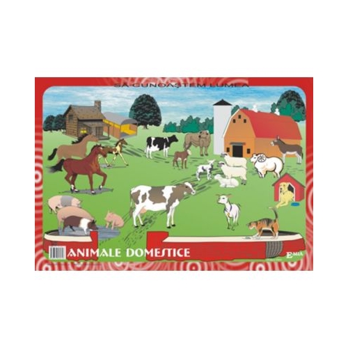 Sa cunoastem lumea. Lecturi dupa imagini - Zoe Ivanus, Ed. Emia, Carti educative