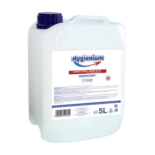 Hygienium Sapun lichid antibacterian/dezinfectant, 5 Lpe grupdzc.ro✅. Descopera gama copleta de produse la oferte speciale✅!