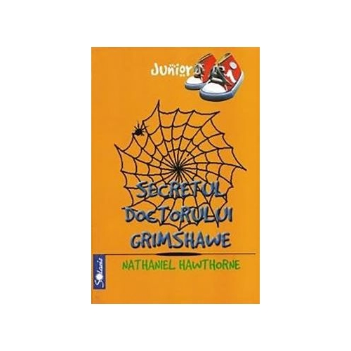 Secretul doctorului Grimshawe - Nathaniel Hawthorne