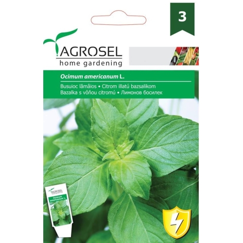 Seminte Busuioc Lamaios, 1 g, Agrosel