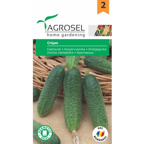 Seminte Castraveti Crisan, 1.5 g, Agrosel