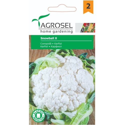 Seminte Conopida Snowball X, 0.8 g, Agrosel