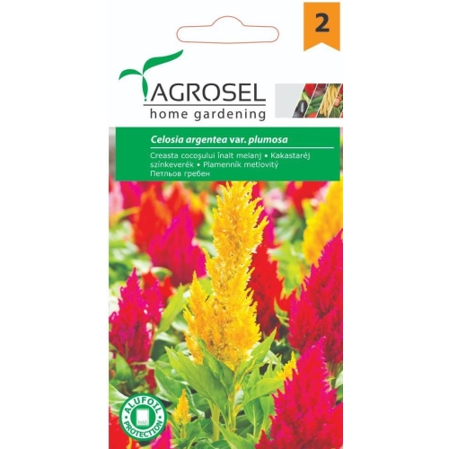 Seminte Creasta cocosului plumosa, 0.5 g, Agrosel