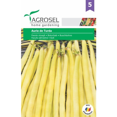 Seminte Fasole Aurie de Turda, 25 g, Agrosel