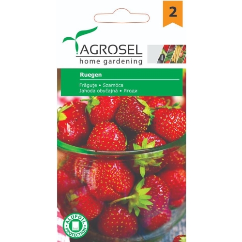 Seminte Fragute Ruegen, 0.1 g, Agrosel