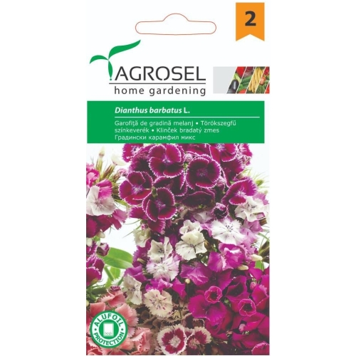 Seminte Garofita de gradina melanj, 1 g, Agrosel