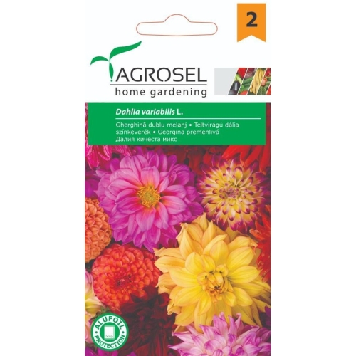 Seminte Gherghina dublu melanj, 1 g, Agrosel