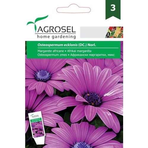 Seminte Margarete africane melanj, 0.5 g, Agrosel