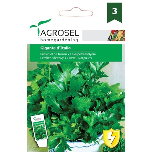 Seminte Patrunjel de frunza Gigante d'Italia, 5 g, Agrosel