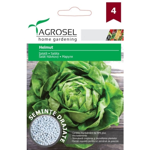 Seminte Salata Helmut drajat, 500 seminte, Agrosel