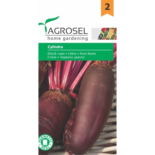 Seminte Sfecla rosie Cylindra, 4 g, Agrosel