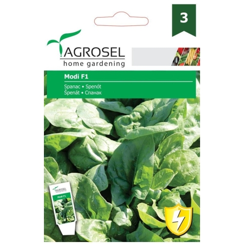 Seminte Spanac Modi F1, 3 g, Agrosel