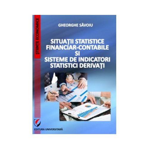 Situatii statistice financiar-contabile si sisteme de indicatori statistici derivati - Gheorghe Savoiu