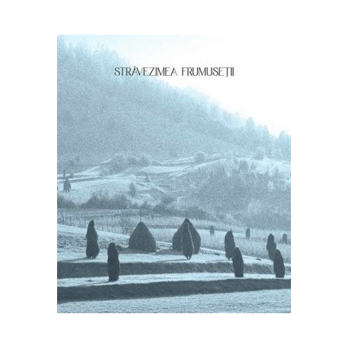 Stravezimea frumusetii - Paul Gherasim, Marius Pandele