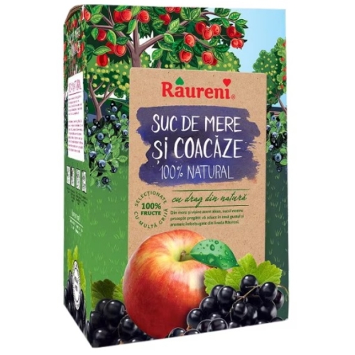 Suc de mere si coacaze 3L Raureni