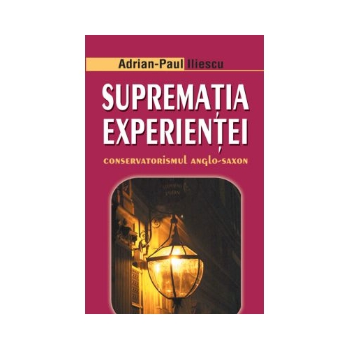 Suprematia experientei - Adrian Paul Iliescu
